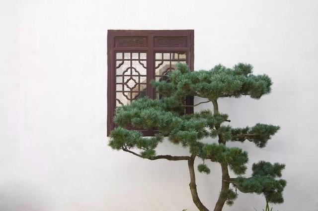 驚艷世界的中式庭院，美哭了！